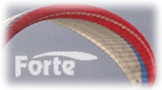 SUNGLIDERS/Forte image